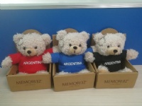 15cm Gift box Bears Keychain Red Black Blue Printing Logo Argentina Stuffed Animal Toys Factory